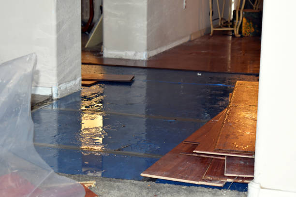 Professional Water Damage Restoration technician working in Alamo, GA